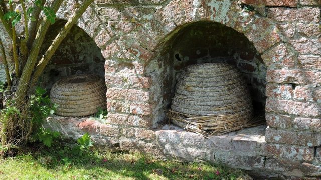 Traditional straw bee skeps in a brick wall alcove