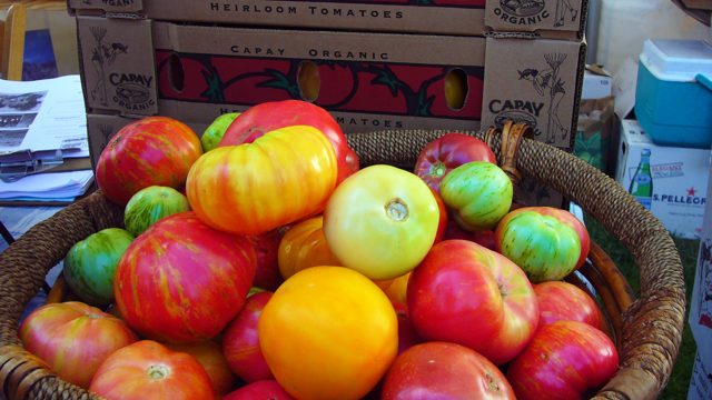 Basket of colorful heirloom tomatoes